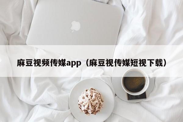 麻豆视频传媒app(麻豆视传媒短视下载)